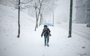 Poginula žena u padu stabla pod teretom snijega, ozljede glave bile su fatalne