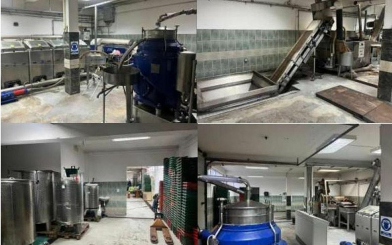 MODERNIZACIJA ULJARE U Posedarju udvostručuju kapacitet prerade maslina