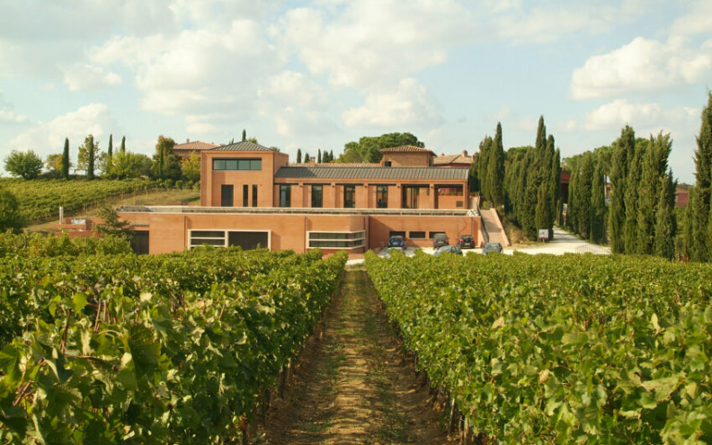 Vino Nobile di Montepulciano ravnoteža je koja nedostaje