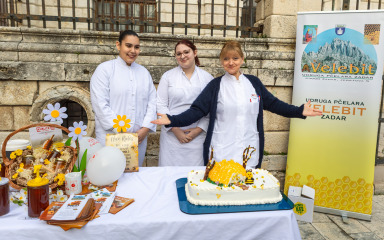 MEDNA FEŠTA NA NARODNOM TRGU Zadarski pčelari dijelili med, učenici napravili spektakularnu tortu