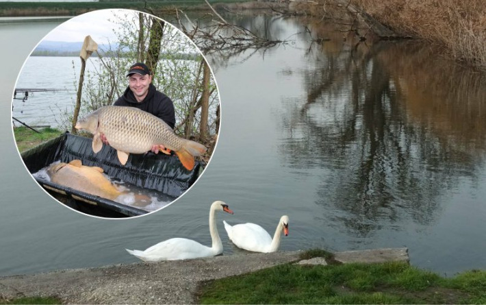 U 15-ak voda Baranje ubacit će se i do pet tona šarana