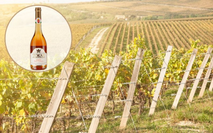 VINO TJEDNA Zašto svijet još sanja o Tokajcu?
