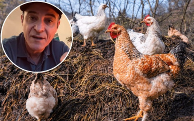 Višnjić poziva na prosvjed protiv megafarmi: ‘Ostat će nam zagađenje, smrad i uništena priroda’