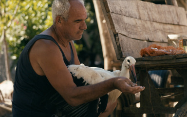 U Kino Zonu stiže dirljiva oda ljudskoj povezanosti s prirodom redateljice proslavljene “Medene zemlje”