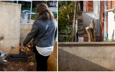 Radnici na Brodarici upali u privatni vrt i otpilali 44-godišnje voćke!? ‘Posadili su ih moji pokojni nono i nona, bila su živa uspomena na njih’