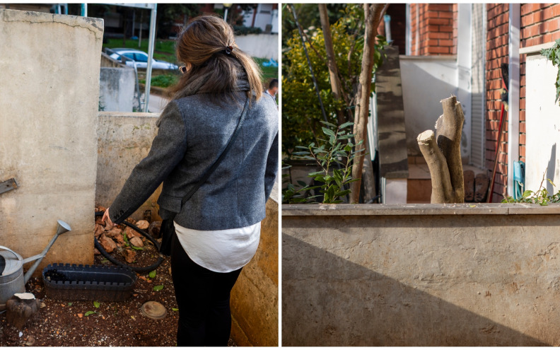 Radnici na Brodarici upali u privatni vrt i otpilali 44-godišnje voćke!? 'Posadili su ih moji pokojni nono i nona, bila su živa uspomena na njih'