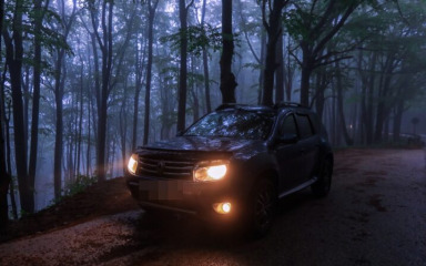 STRAVIČNO! Ugurao ženu u prtljažnik automobila i odveo u šumu, pa prebio