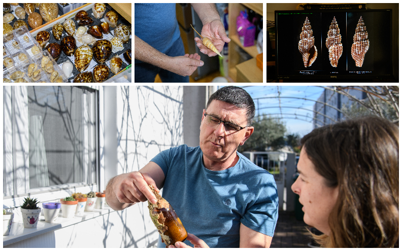 Alen Petani u kolekciji ima preko 3.000 vrsta, među njima i one koje nose njegovo ime