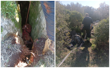 Drama na Dugom otoku: HGSS i DVD Sali iz 20 metara duboke jame spasili čovjeka i psa