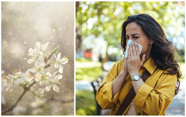 Sve toplije zime donose znatno ranije i jače alergijske valove
