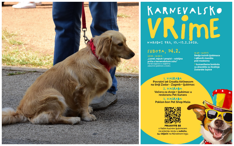 LAVEŽ, MJAUK I PROPISI Ne propustite ozbiljnu priču u karnevalskom ruhu