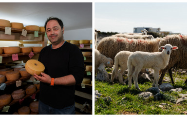 Vrijeme je za modernizaciju mini sirana na Pagu! ‘Ideja se rodila jer…’