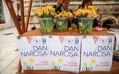 U subotu tradicionalno obilježavanje Dana narcisa, prikupljena sredstva idu za liječenje onkoloških bolesnika u OB Zadar