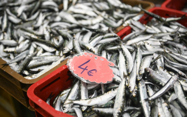 Šok na moru: Cijene rastu, ulov pada – evo što to znači za vas