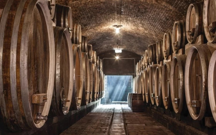 Velike berbe Iloka i vina koja su nadživjela vrijeme