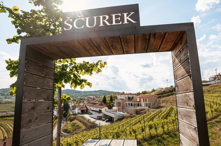 Iz Goriških Brda - do zadarske čaše