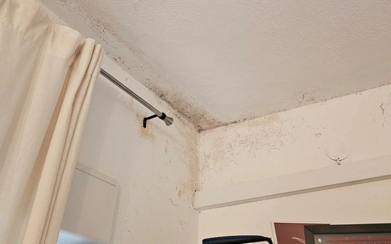 Zadarski student plaća 500 eura za 18 kvadrata! Šokiran je i rokom do kada mora izići iz stana