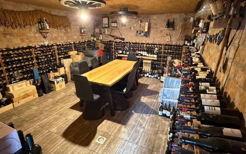 Vinsko kolekcionarstvo - od hedonizma do vlastitog vina