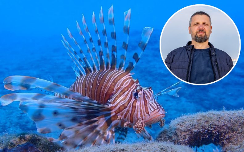 Opasna riba iz Crvenog mora širi se Mediteranom: 'Prostrli smo joj crveni tepih u samo srce Jadrana'