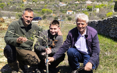 Djed, sin i unuk iz Bukovice osvojili zlato na najvećem svjetskom natjecanju u kvaliteti maslinovih ulja