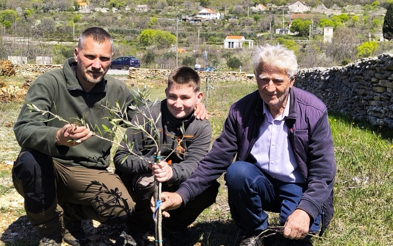 Djed, sin i unuk iz Bukovice osvojili zlato na najvećem svjetskom natjecanju u kvaliteti maslinovih ulja