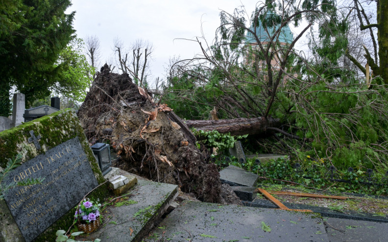 Nevrijeme jače od oluje 2023.: 'Broj srušenih stabala mogao bi premašiti tisuću'