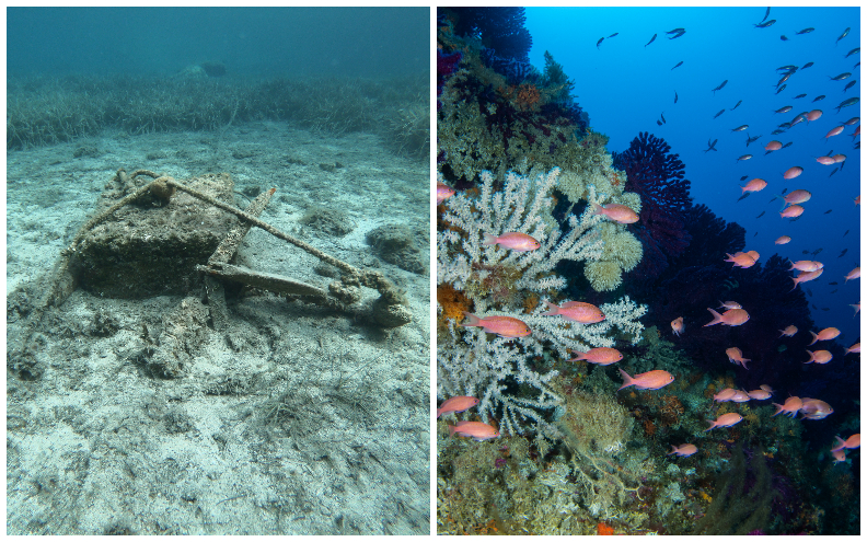 Dobre vijesti iz PP Telašćica: 'Postavljamo ekološka sidrišta i senzore za detekciju ispuštanja otpadnih voda'