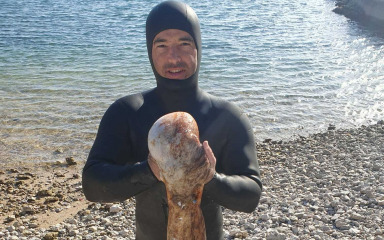 HOBOTNICA Ante Gašpar uhvatio kapitalku tešku preko 8 kilograma!