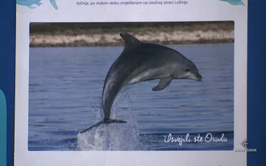 Učenici OŠ Valentin Klarin u Preku posvojili – dupina