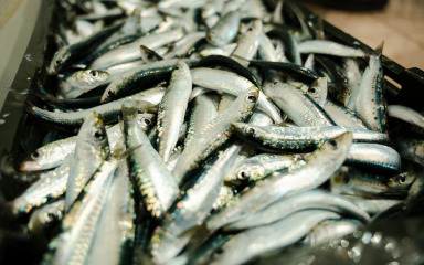 Na Veliki petak jedemo što more i tržište dopuste