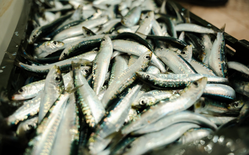 Na Veliki petak jedemo što more i tržište dopuste