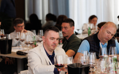 Uloga vinskih radionica u razumijevanju kulture vina