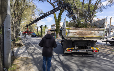 ZADAR POD NALETOM BURE U jednosmjernoj ulici Put Dikla palo stablo, srećom nema ozlijeđenih