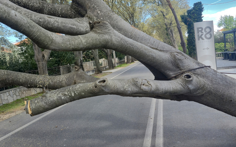 PET VIJESTI DANA Pogledajte što je obilježilo srijedu u Zadru i županiji