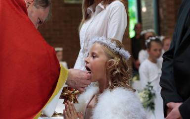 NEKAD JANJE NA RAŽNJU, DANAS MINI SVADBA Restorani puni unatoč cijenama i do 70 eura po osobi za pričest ili krizmu