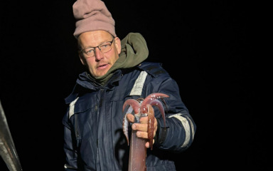 Strikan i netijak pod feralom kod Biograda ulovili lignju tešku kilogram i pol