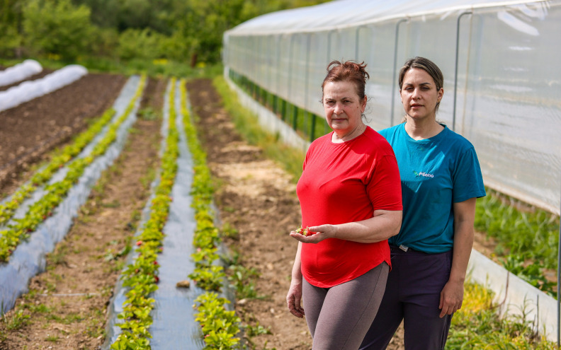 OPG VIDAIĆ U Murvici Gornjoj prava oaza zdravih domaćih proizvoda! 'Cijelu zimu smo imali...'