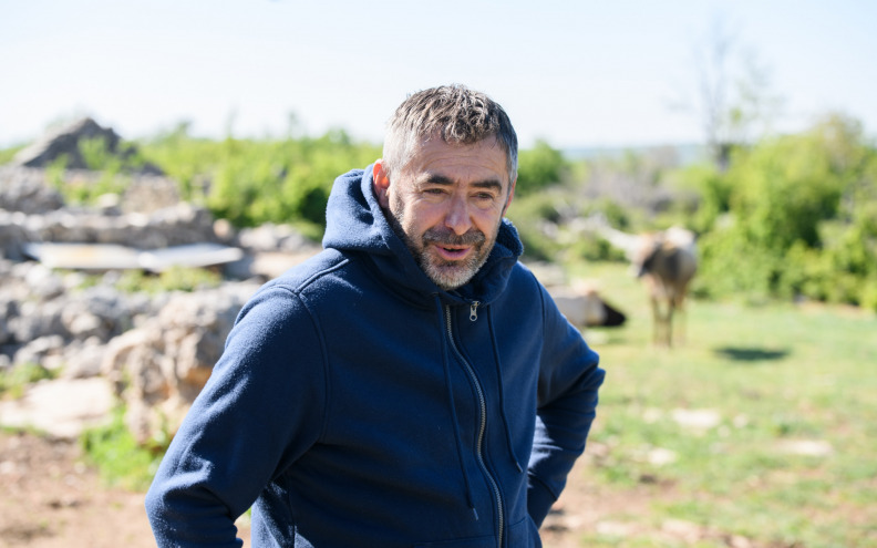 KRVOLOČNI ČOPOR Vukovi rastrgali pse u Medviđi, stočar razmišlja o odlasku: 'Ako nisi navečer zatvorio stoku, ujutro je ne moraš tražiti'