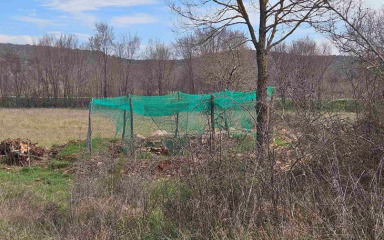 UZNEMIRUJUĆE FOTOGRAFIJE Ubijene lešine bacaju se u jamu i zatrpavaju – sve po zakonu!