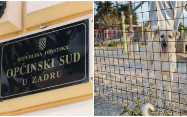 PREGLED DANA Predsjednica Općinskog suda iznijela svoju stranu priče, a zadarske njuškice preselile na Bokanjac