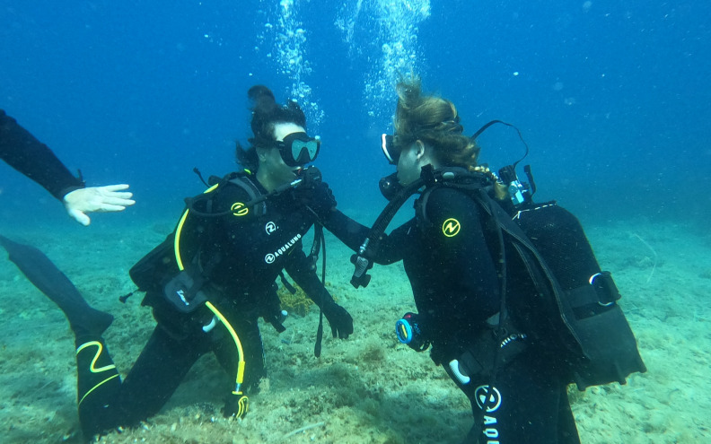 Ocean Action Festival na Silbi: tjedan radionica, istraživanja i akcija za očuvanje mora