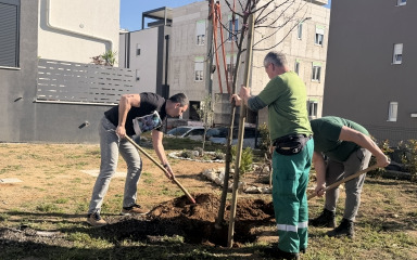 Grad Zadar obilježio Dan planeta Zemlje sadnjom stabala u Diklu i na Plovaniji: “Priroda je najvažnija za kvalitetan i zdrav život”