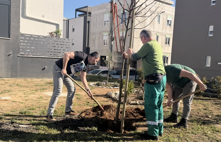 Grad Zadar obilježio Dan planeta Zemlje sadnjom stabala u Diklu i na Plovaniji: 
