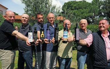 ZADARSKI MASLINARI MEĐU NAJBOLJIMA Na natjecanju u New Yorku za Zadarsku županiju ukupno 23 medalje