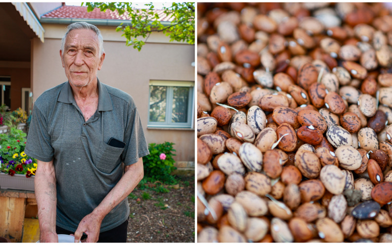 Legendarni bibinjski fažol nekad je hranio selo, a danas ga sadi tek nekoliko obitelji: ‘Mesnat je i debel, kao da jedeš meso’