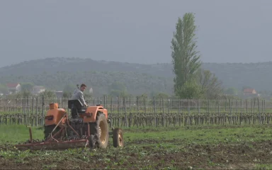 Rast cijena goriva prisiljava ravnokotarske OPG-ove na manju proizvodnju: ‘Ljudi se moraju vraćati selu’