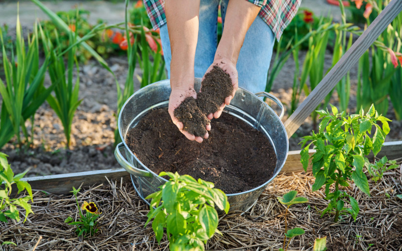 Najbolja prirodna gnojiva hrane biljke, a imamo i recept za 