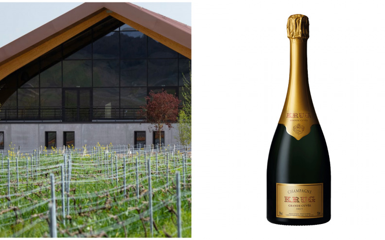 Krug Grande Cuvée, 173ème Édition - emocija zapakirana u staklo