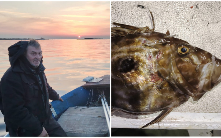 KOVAČ Nikica Cuki Vulelija potegnuo do Molata pa ulovio kapitalca od 2,4 kilograma: ‘Osti su poletile istog trena’