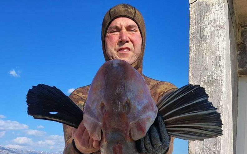 KOKOT Toni Kršulović na 19 metara dubine uhvatio kapitalca od 5 i pol kilograma